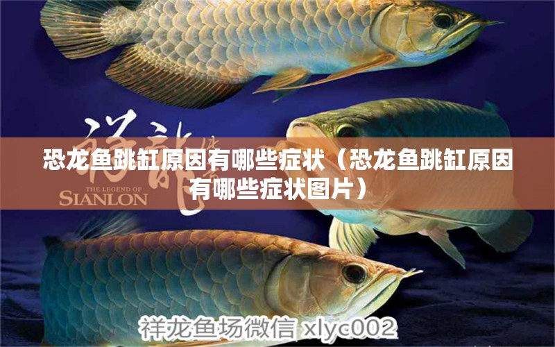 恐龍魚跳缸原因有哪些癥狀（恐龍魚跳缸原因有哪些癥狀圖片）