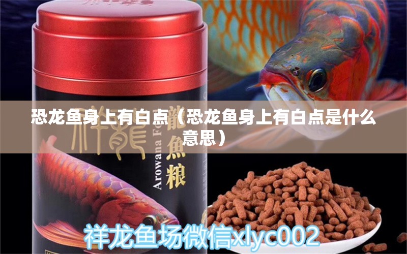 恐龍魚身上有白點（恐龍魚身上有白點是什么意思） 祥龍水族醫(yī)院