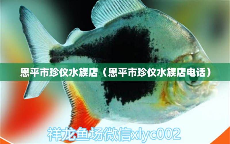 恩平市珍儀水族店（恩平市珍儀水族店電話） 全國(guó)水族館企業(yè)名錄