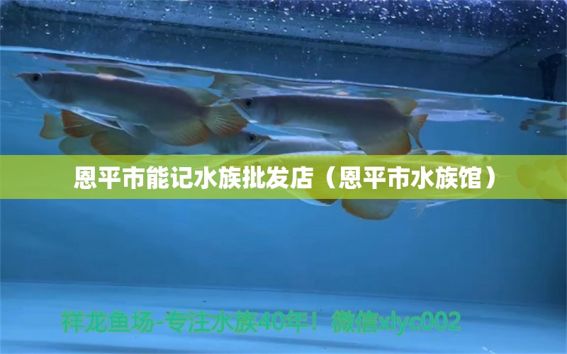 恩平市能記水族批發(fā)店（恩平市水族館） 全國(guó)水族館企業(yè)名錄