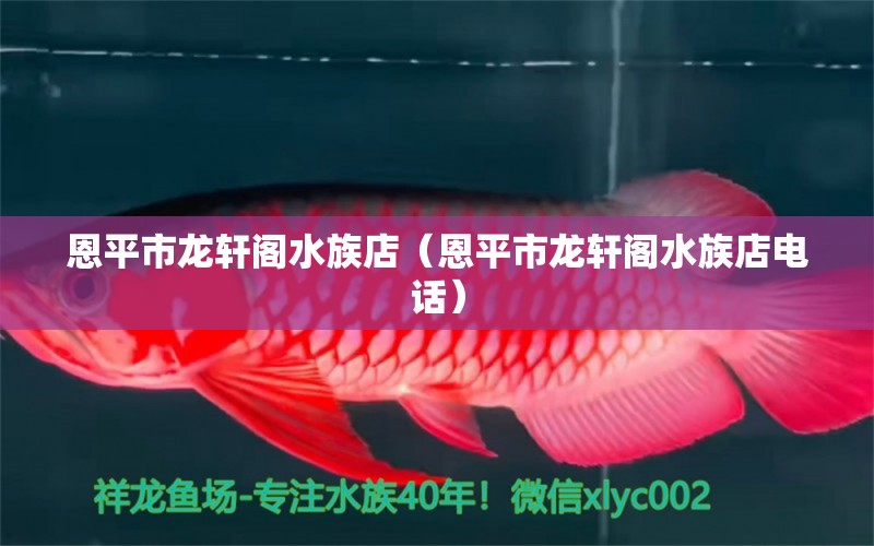 恩平市龍軒閣水族店（恩平市龍軒閣水族店電話(huà)）