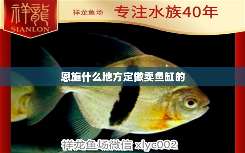 恩施什么地方定做賣魚缸的 其他品牌魚缸