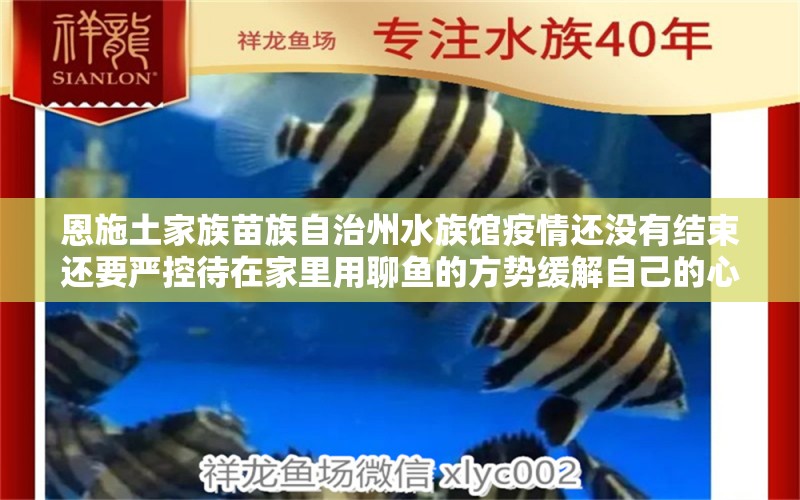 恩施土家族苗族自治州水族館疫情還沒有結(jié)束還要嚴控待在家里用聊魚的方勢緩解自己的心情