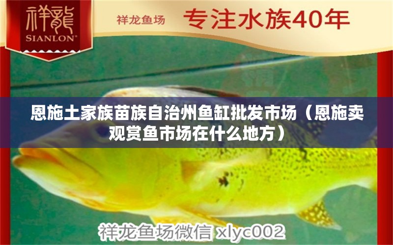 恩施土家族苗族自治州魚缸批發(fā)市場(chǎng)（恩施賣觀賞魚市場(chǎng)在什么地方）