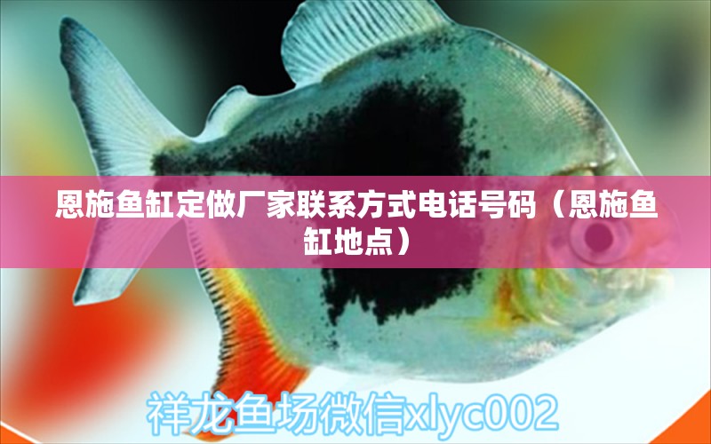 恩施魚(yú)缸定做廠家聯(lián)系方式電話號(hào)碼（恩施魚(yú)缸地點(diǎn)）