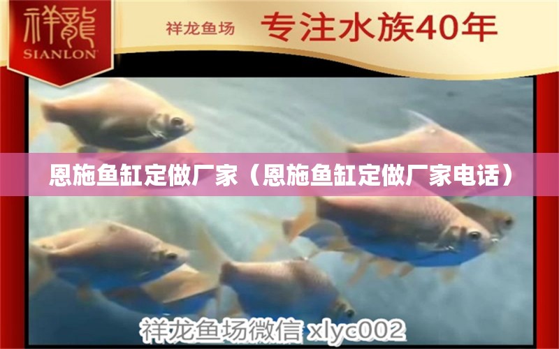 恩施魚(yú)缸定做廠家（恩施魚(yú)缸定做廠家電話）