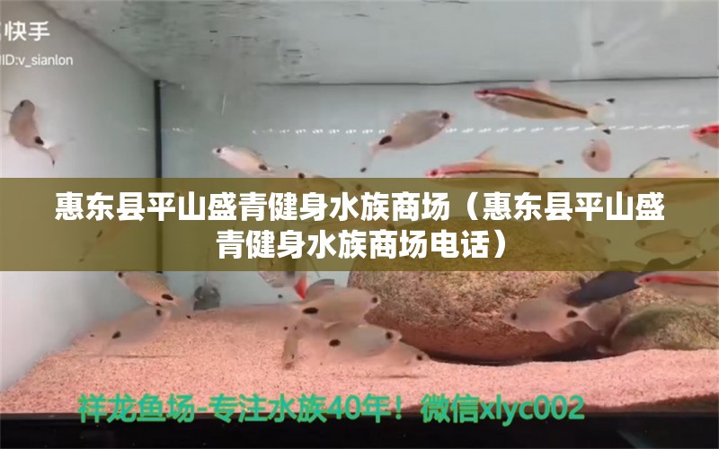 惠東縣平山盛青健身水族商場(chǎng)（惠東縣平山盛青健身水族商場(chǎng)電話） 全國(guó)水族館企業(yè)名錄