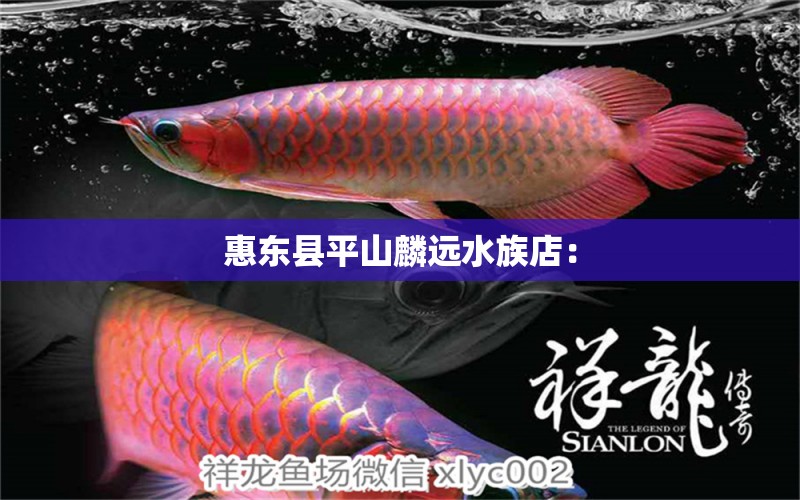 惠東縣平山麟遠水族店：