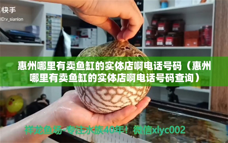 惠州哪里有賣魚缸的實體店啊電話號碼（惠州哪里有賣魚缸的實體店啊電話號碼查詢） 祥龍水族醫(yī)院