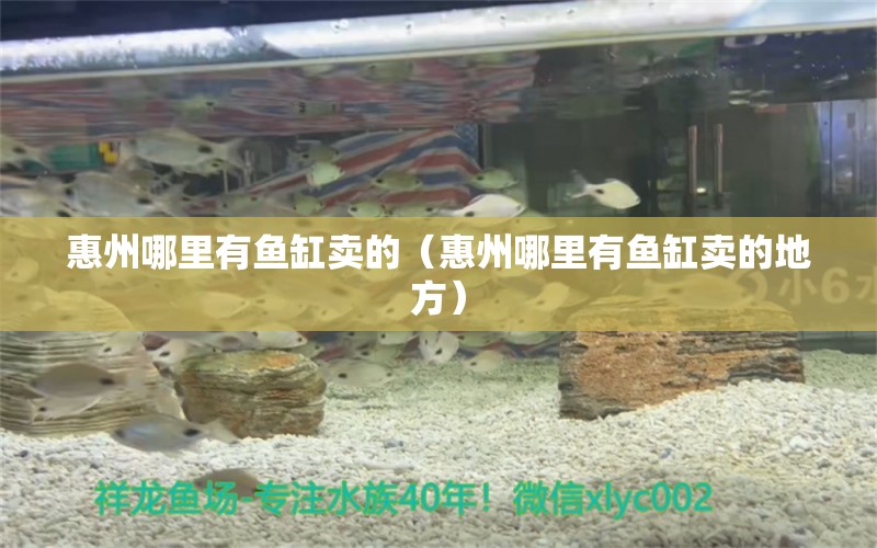 惠州哪里有魚缸賣的（惠州哪里有魚缸賣的地方） 其他品牌魚缸