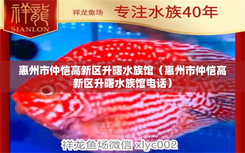 惠州市仲愷高新區(qū)升曙水族館（惠州市仲愷高新區(qū)升曙水族館電話）