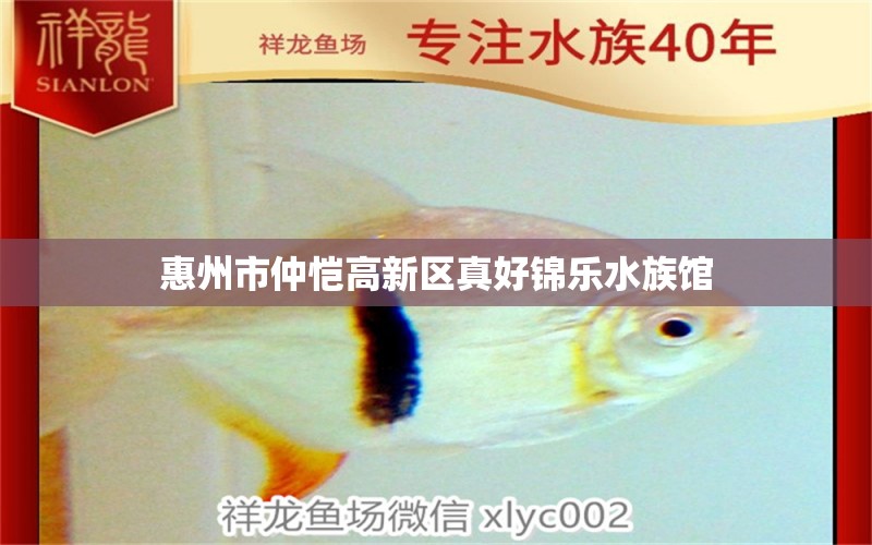 惠州市仲愷高新區(qū)真好錦樂水族館