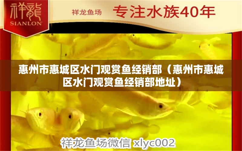 惠州市惠城區(qū)水門觀賞魚經(jīng)銷部（惠州市惠城區(qū)水門觀賞魚經(jīng)銷部地址）