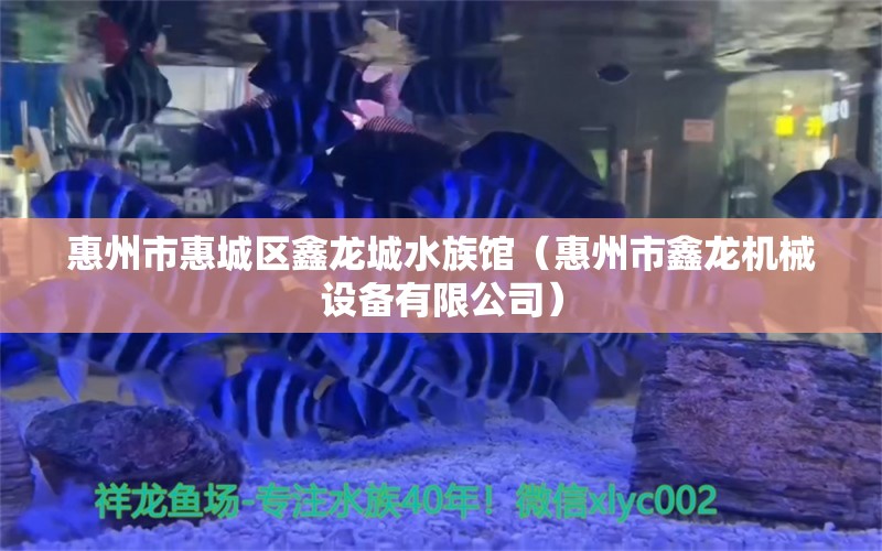 惠州市惠城區(qū)鑫龍城水族館（惠州市鑫龍機械設(shè)備有限公司） 全國水族館企業(yè)名錄