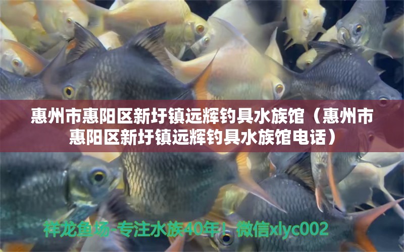 惠州市惠陽區(qū)新圩鎮(zhèn)遠輝釣具水族館（惠州市惠陽區(qū)新圩鎮(zhèn)遠輝釣具水族館電話） 垂釣樂園