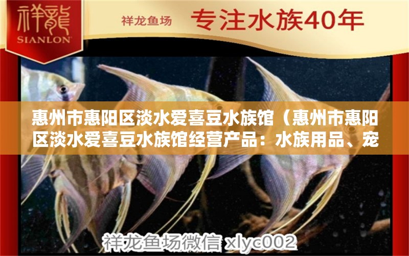 惠州市惠陽(yáng)區(qū)淡水愛喜豆水族館（惠州市惠陽(yáng)區(qū)淡水愛喜豆水族館經(jīng)營(yíng)產(chǎn)品：水族用品、寵物及用品） 全國(guó)觀賞魚市場(chǎng) 第2張