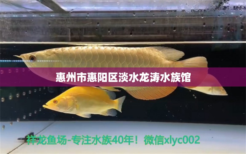 惠州市惠陽(yáng)區(qū)淡水龍濤水族館 全國(guó)水族館企業(yè)名錄