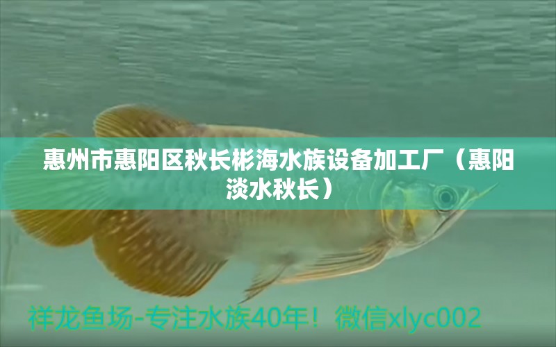 惠州市惠陽區(qū)秋長彬海水族設(shè)備加工廠（惠陽淡水秋長）