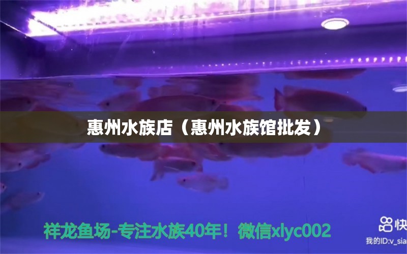 惠州水族店（惠州水族館批發(fā)） 觀賞魚市場