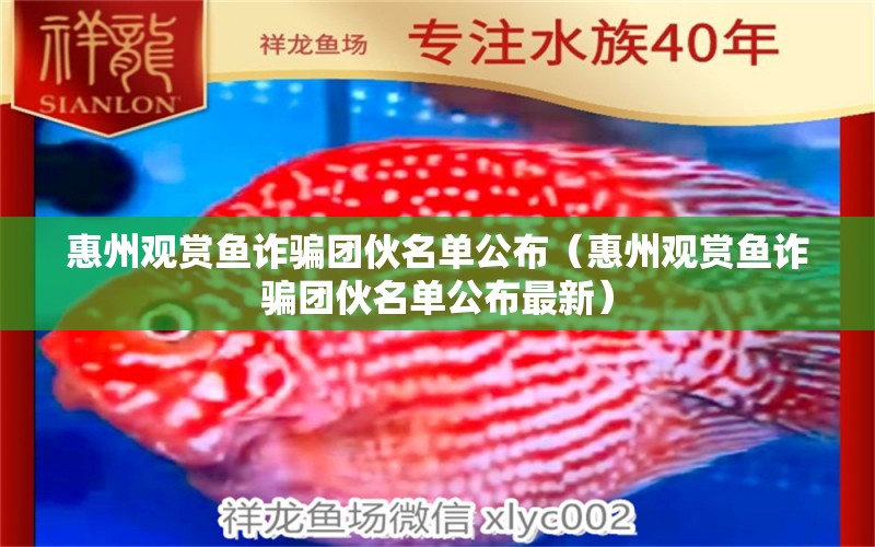 惠州觀賞魚詐騙團伙名單公布（惠州觀賞魚詐騙團伙名單公布最新） 祥龍水族醫(yī)院