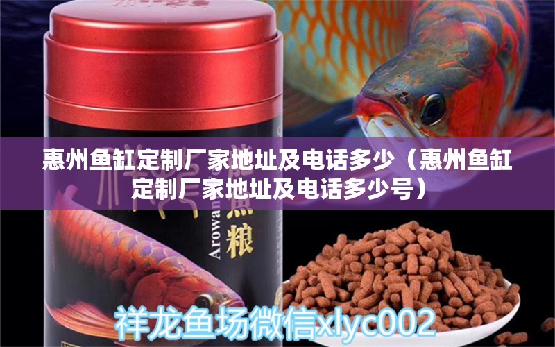 惠州魚缸定制廠家地址及電話多少（惠州魚缸定制廠家地址及電話多少號(hào)） 狗頭魚