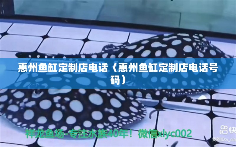 惠州魚缸定制店電話（惠州魚缸定制店電話號碼） 泰龐海鰱魚