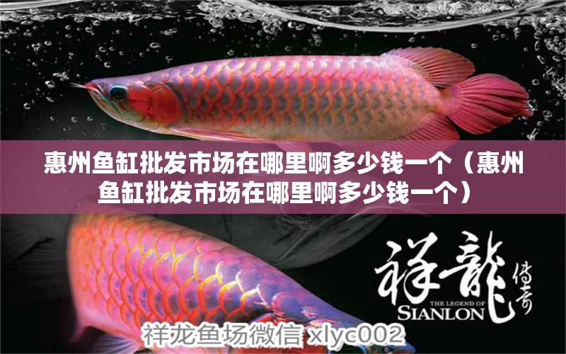 惠州魚缸批發(fā)市場在哪里啊多少錢一個（惠州魚缸批發(fā)市場在哪里啊多少錢一個） 量子養(yǎng)魚技術(shù)