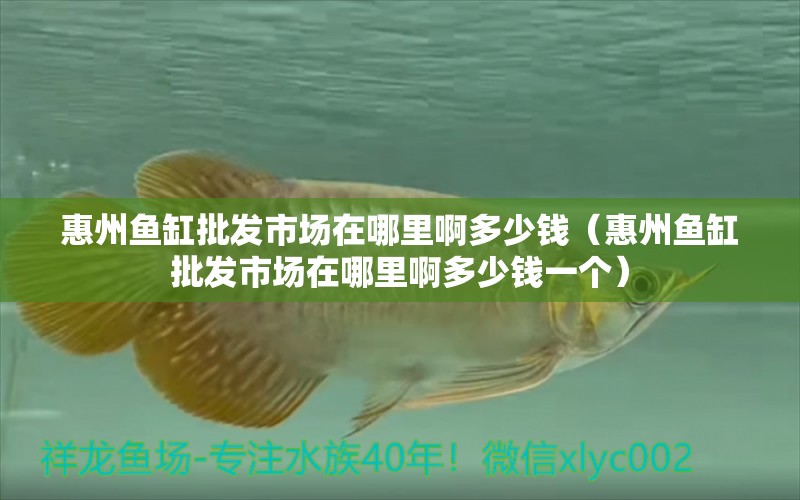 惠州魚缸批發(fā)市場在哪里啊多少錢（惠州魚缸批發(fā)市場在哪里啊多少錢一個(gè)） 祥龍龍魚專用水族燈