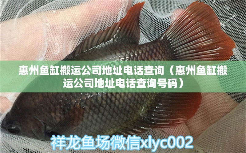 惠州魚缸搬運(yùn)公司地址電話查詢（惠州魚缸搬運(yùn)公司地址電話查詢號(hào)碼）