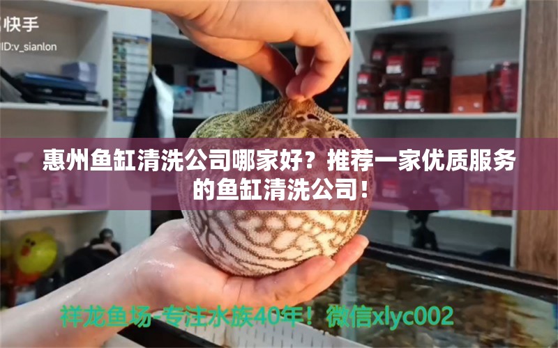 惠州魚(yú)缸清洗公司哪家好？推薦一家優(yōu)質(zhì)服務(wù)的魚(yú)缸清洗公司！