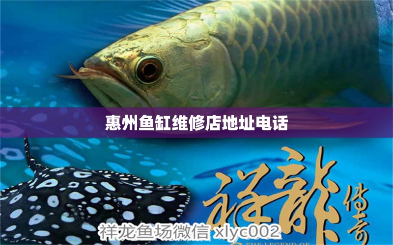 惠州魚(yú)缸維修店地址電話(huà) 祥龍魚(yú)場(chǎng)