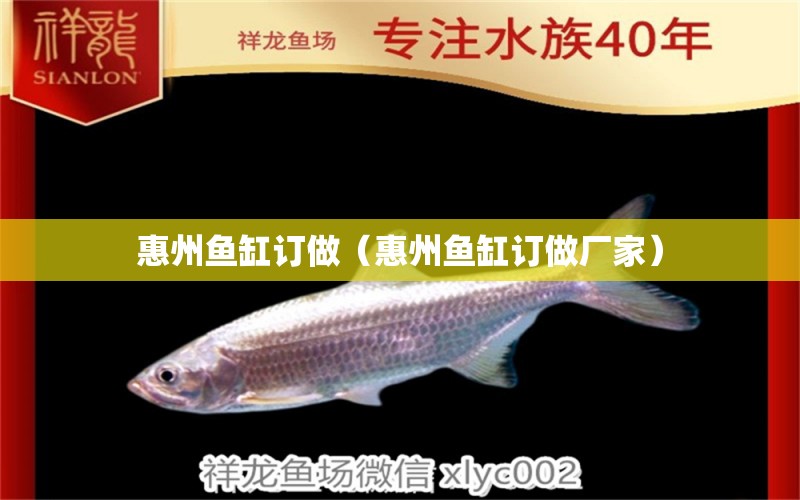 惠州魚(yú)缸訂做（惠州魚(yú)缸訂做廠家） 廣州龍魚(yú)批發(fā)市場(chǎng)