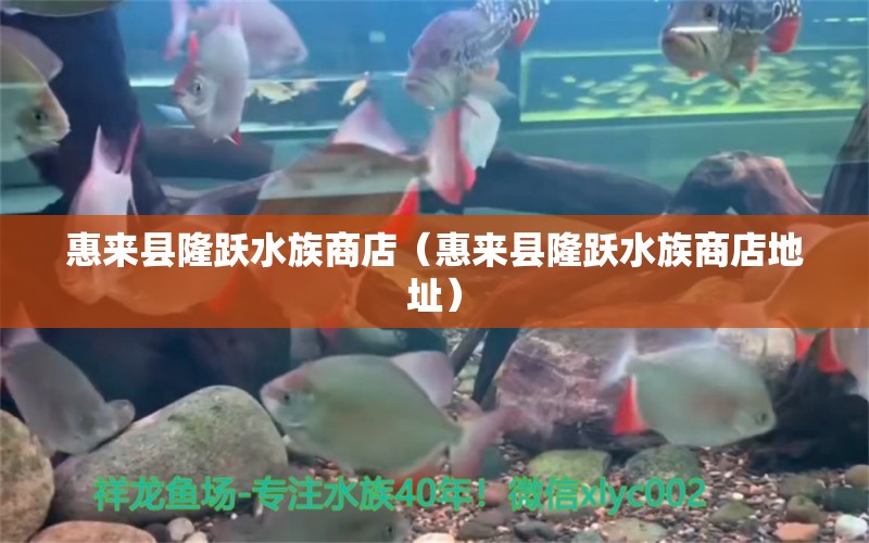 惠來(lái)縣隆躍水族商店（惠來(lái)縣隆躍水族商店地址） 全國(guó)水族館企業(yè)名錄