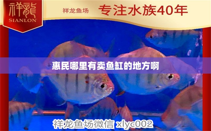 惠民哪里有賣魚缸的地方啊