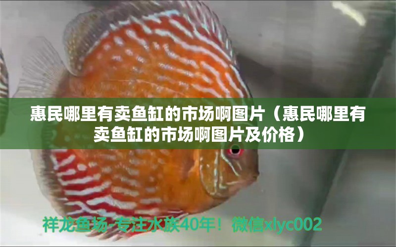 惠民哪里有賣魚缸的市場啊圖片（惠民哪里有賣魚缸的市場啊圖片及價格）