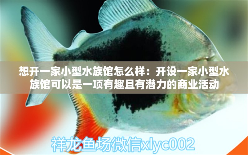 想開一家小型水族館怎么樣：開設(shè)一家小型水族館可以是一項有趣且有潛力的商業(yè)活動 水族館百科（水族館加盟） 第1張