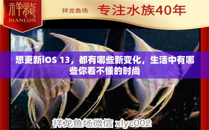 想更新iOS 13，都有哪些新變化，生活中有哪些你看不懂的時(shí)尚