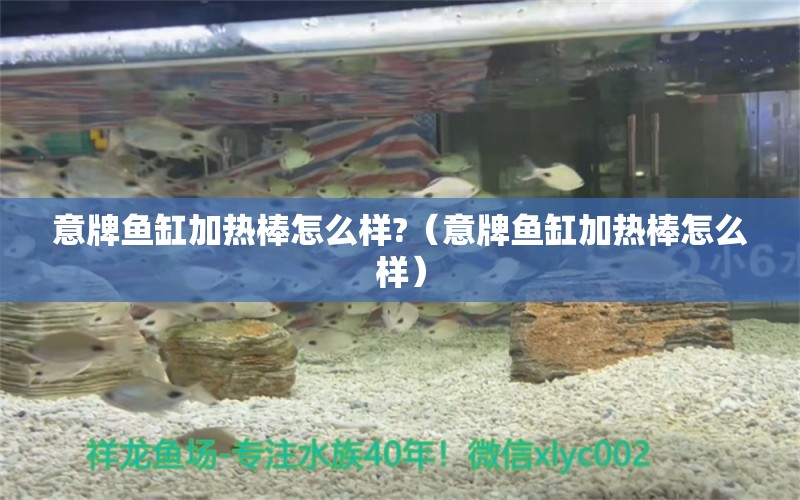 意牌魚缸加熱棒怎么樣?（意牌魚缸加熱棒怎么樣）