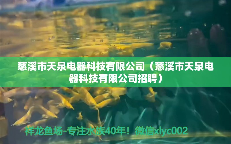 慈溪市天泉電器科技有限公司（慈溪市天泉電器科技有限公司招聘）