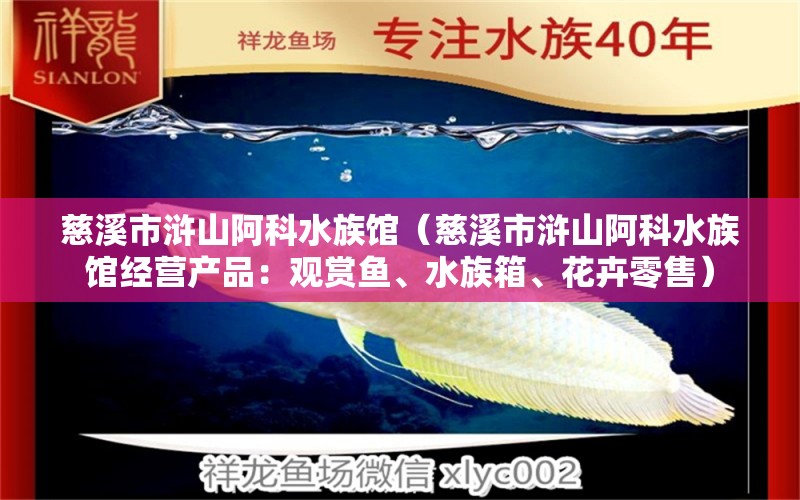 慈溪市滸山阿科水族館（慈溪市滸山阿科水族館經(jīng)營(yíng)產(chǎn)品：觀賞魚(yú)、水族箱、花卉零售） 全國(guó)觀賞魚(yú)市場(chǎng) 第2張