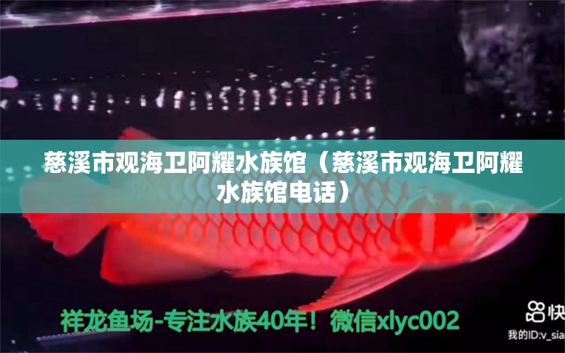 慈溪市觀海衛(wèi)阿耀水族館（慈溪市觀海衛(wèi)阿耀水族館電話）