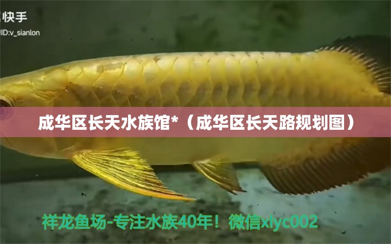 成華區(qū)長天水族館*（成華區(qū)長天路規(guī)劃圖）