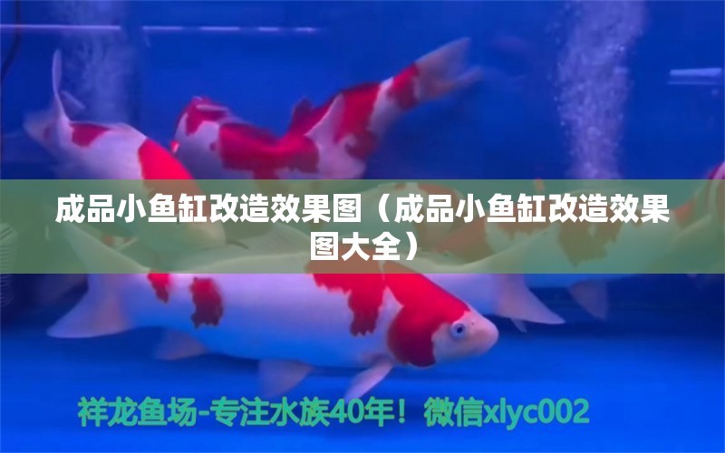 成品小魚缸改造效果圖（成品小魚缸改造效果圖大全）