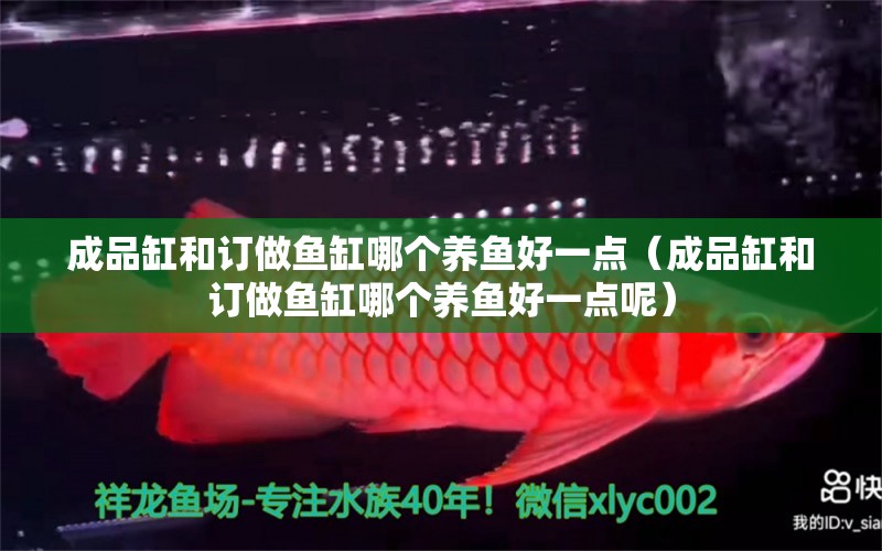 成品缸和訂做魚缸哪個(gè)養(yǎng)魚好一點(diǎn)（成品缸和訂做魚缸哪個(gè)養(yǎng)魚好一點(diǎn)呢） 祥龍水族醫(yī)院