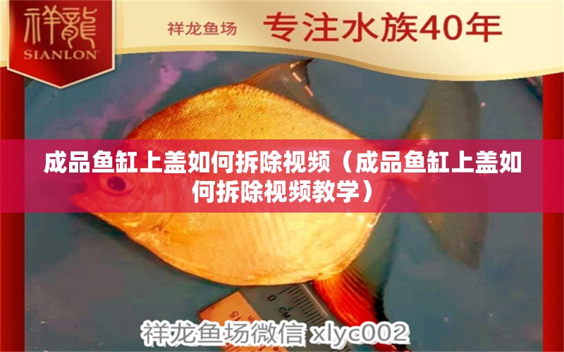 成品魚(yú)缸上蓋如何拆除視頻（成品魚(yú)缸上蓋如何拆除視頻教學(xué)）