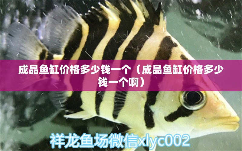 成品魚缸價格多少錢一個（成品魚缸價格多少錢一個?。? title=