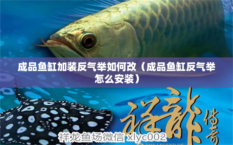 成品魚(yú)缸加裝反氣舉如何改（成品魚(yú)缸反氣舉怎么安裝）