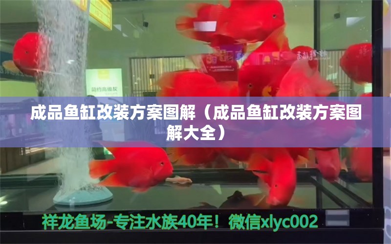 成品魚缸改裝方案圖解（成品魚缸改裝方案圖解大全）