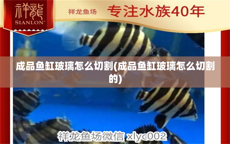 成品魚缸玻璃怎么切割(成品魚缸玻璃怎么切割的) 和尚魚