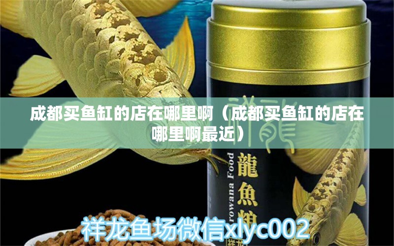 成都買魚缸的店在哪里?。ǔ啥假I魚缸的店在哪里啊最近）